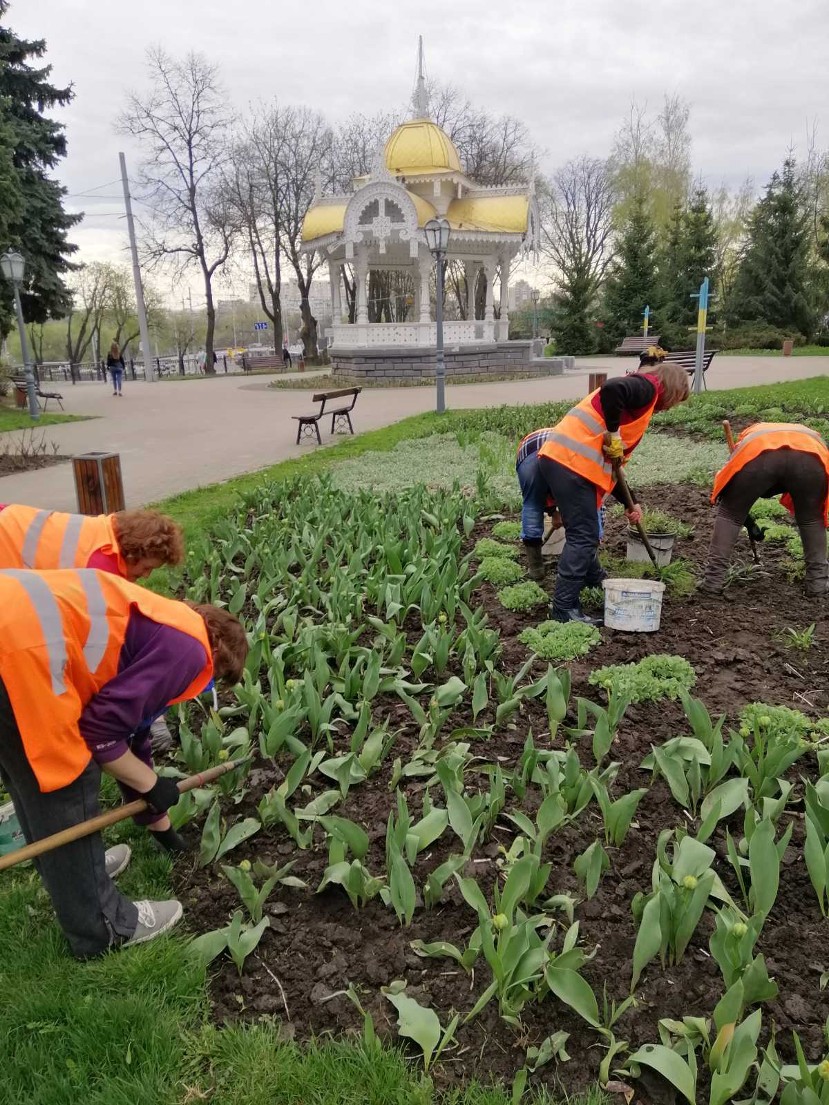 Директор КП «Зеленбуд» Олег Скрипка про роботу підприємства під час війни