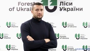 Лісова реформа під сокирою корупції: чи стане нове Агентство біорізноманіття притулком для «зашкварених» топів ДАЛРУ?