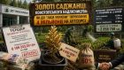 Золоті саджанці Конотопського надлісництва: як ДП “Ліси України” переплачує 4 мільйони на аутсорсі