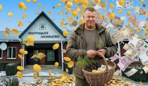 Золоті руїни Сумщини: як у лісгоспі мільйонера Киченка платили сотні тисяч за охорону знищених будівель