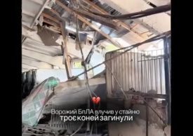 Леонід Ніколаєнко показав наслідки удару по кінно-спортивній школі: у Сумах рятують поранених коней і відновлюють стайню